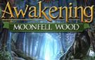 《觉醒2：落月森林》完整硬盘版下载