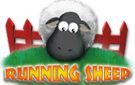 《狂奔的小羊：小小世界》免安装硬盘版下载