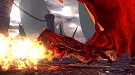 《无冬之夜OL》IGN详评：龙与地下城的世界