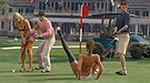 《GTA5》最新截图与细节 瑜伽姿势好诱人