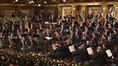 2012维也纳新年音乐会