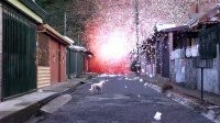 索尼为宣传4K电视 向火山中倒入800万瓣花瓣