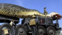 怪兽来了：全世界最长的蟒蛇 真的有十几米？