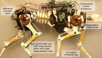 日本研制出救援机器人 敏捷天赋超喵星人