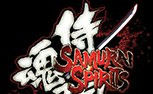 《侍魂·闪》免安装硬盘版下载