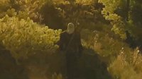 《巫师3：狂猎》新实机演示曝光 画面绝美！
