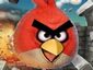 《愤怒的小鸟》PC版玩家点评