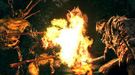 E3：《黑暗之魂》“准备受死”宣传片及截图公布