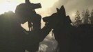 《COD10》含小狗人气飙升 原型犬欢乐实战