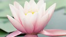 风景与艺术结合 iOS 7官方壁纸与铃声放出