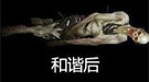 《暗黑3》和谐前后对比图 绿血水泥这能看？