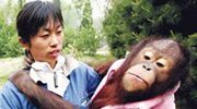 衣冠禽兽PK猪狗不如！感动中国的十大禽兽