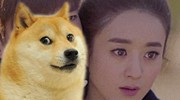 霸道总裁的推妹十法 揭秘高富帅喷血把妹方法