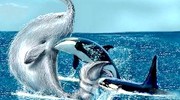 这些怪兽真的是地球生物？真实存在的魔性动物