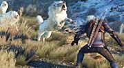 《巫师3：狂猎》全怪物弱点图鉴一览