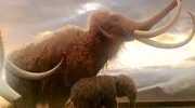 科学家是在逗我？十种声称灭绝但仍存在的生物