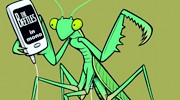 耳朵存在于两腿之间？那些动物的奇葩小秘密