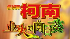 动漫晚报| 柯南M19中文LOGO公布 星核电影曝概念图