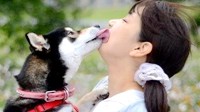 单身狗舔的女主人好舒服 春心荡漾的动图