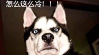 在没来暖气前冻成狗的日子里 你应该做的十件事