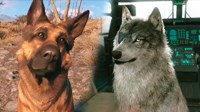 《辐射4》狗肉与《合金装备5》钻石狗对比 狗肉与钻石狗哪个更好