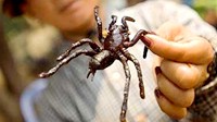 就问贝爷吃过几种？让人闻风丧胆的19种亚洲美食
