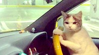 没时间解释了快上车 污污污污的囧图
