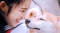 硬盘中的女神终于成真了 成为老司机的囧图