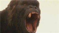 《金刚：骷髅岛》新预告片段 大猩猩怒吼地动天摇