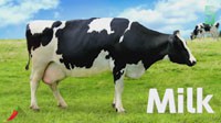 动物组织PETA声讨《12Switch》挤牛奶残忍 呼吁玩家吃素