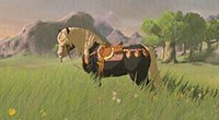 《塞尔达传说荒野之息》全马具获得方法 马具怎么获得