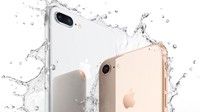 黄牛卖iPhone 8悲剧了：价格大跌 比原价还低500元