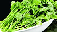 香菜竟然不是第一？网友票选最难吃的蔬菜Top10