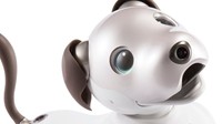 索尼机器狗AIBO复活！售价11529元 外形大不同