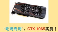 《绝地求生》GTX1060 5G显卡帧数实测解析