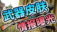 《绝地求生》武器皮肤一览 武器皮肤抢先看