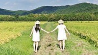 日本大腿写真展、少女百合展紧急叫停 网友哀嚎一片