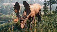 《荒野大鏢客2》全傳說動物分布與具體位置