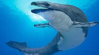 成年人还不够塞牙缝的 各种巨型史前海洋怪兽