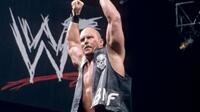 巨石强森只能算老二 WWE全盛期十大巨星
