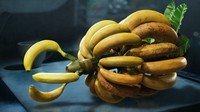 《鬼泣5》尼禄“香蕉义肢”上架Steam 免费追加！
