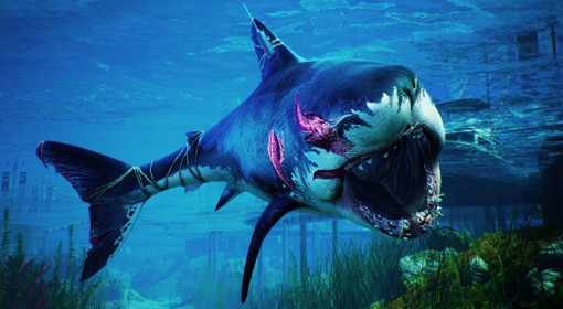 《食人鲨》中文奖杯列表一览