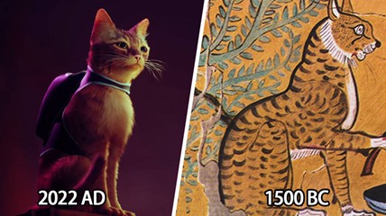 几千年前，猫猫治好了人们的精神内耗
