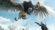 《巫师3》最新1080p华美截图 白狼弯弓射大雕