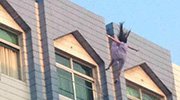 浙江一长裙美女割脉后跳楼 跳前喊“不要过来”