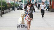 作秀还是广告：90后辣妹大街遛草泥马 求配种