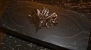 《暗黑破坏神3》主题象棋开箱：黑与白的较量