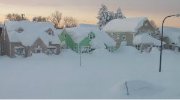 美国纽约遭罕见暴雪袭击 就差把房子埋了