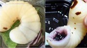 日本超逼真毛毛虫软糖 爆浆口感吐到反胃