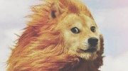 喜欢只是因为习惯了那根的尺寸 囧囧的囧图